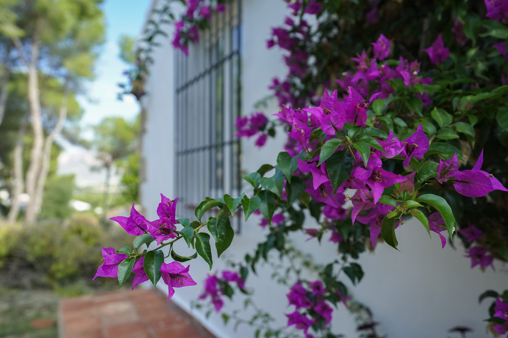 Beautiful Traditional Villa on a Large Plot in La Lluca, Jávea