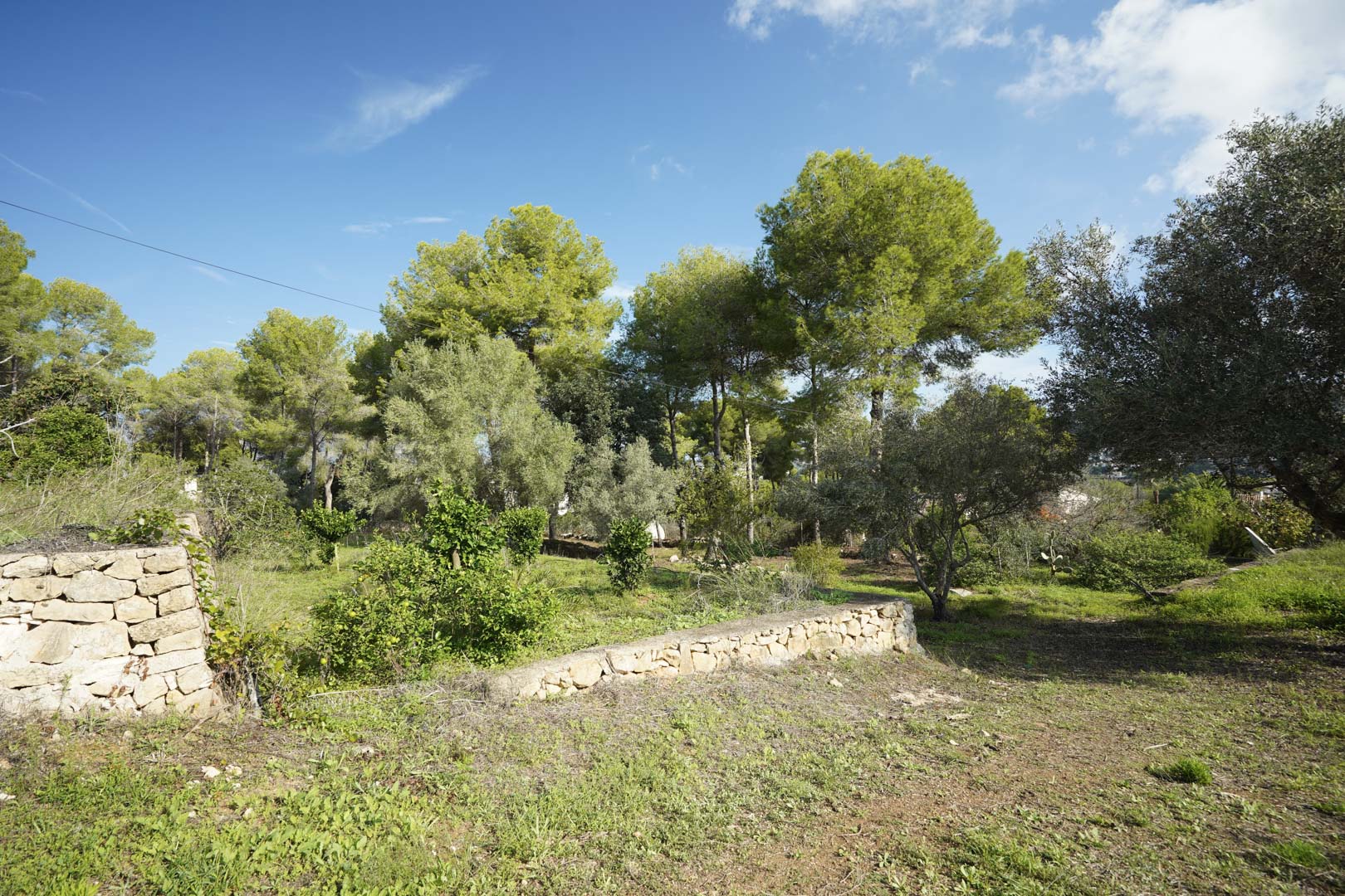 Beautiful Traditional Villa on a Large Plot in La Lluca, Jávea