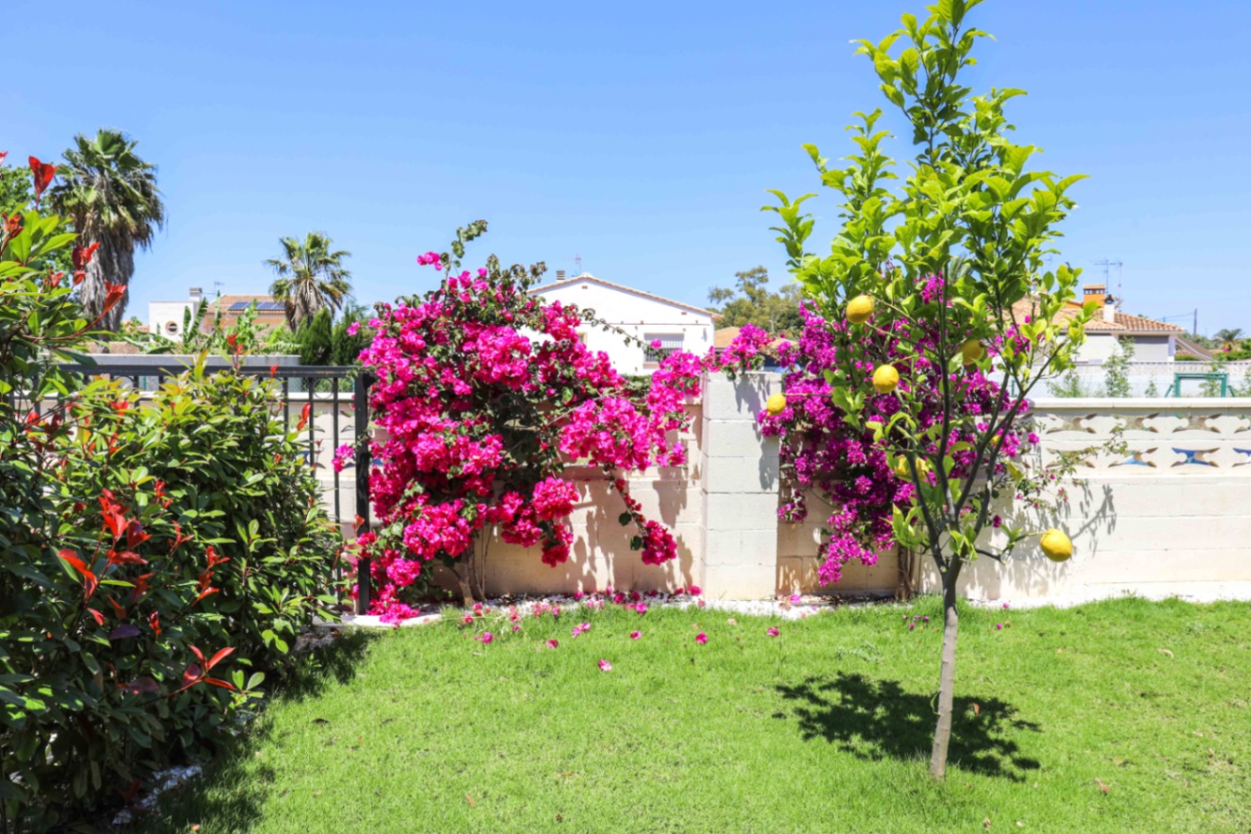 3-Zimmer-Villa in einer Luxusanlage mit Pool zu verkaufen in Denia Montgo - In der Nähe von Restaurants und Stränden